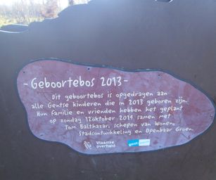Gentbrugge - 28-11-2020 (21)
