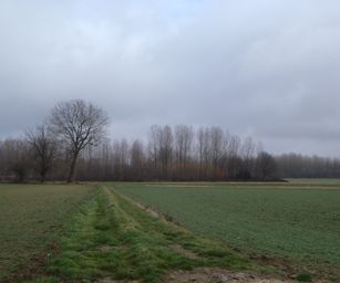 04-02-2023 - Borsbeke (3)