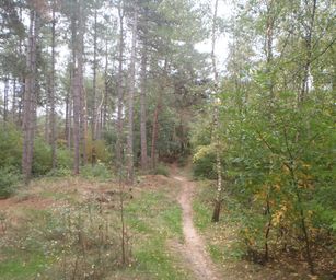 13-10-2022 Lommel (4)